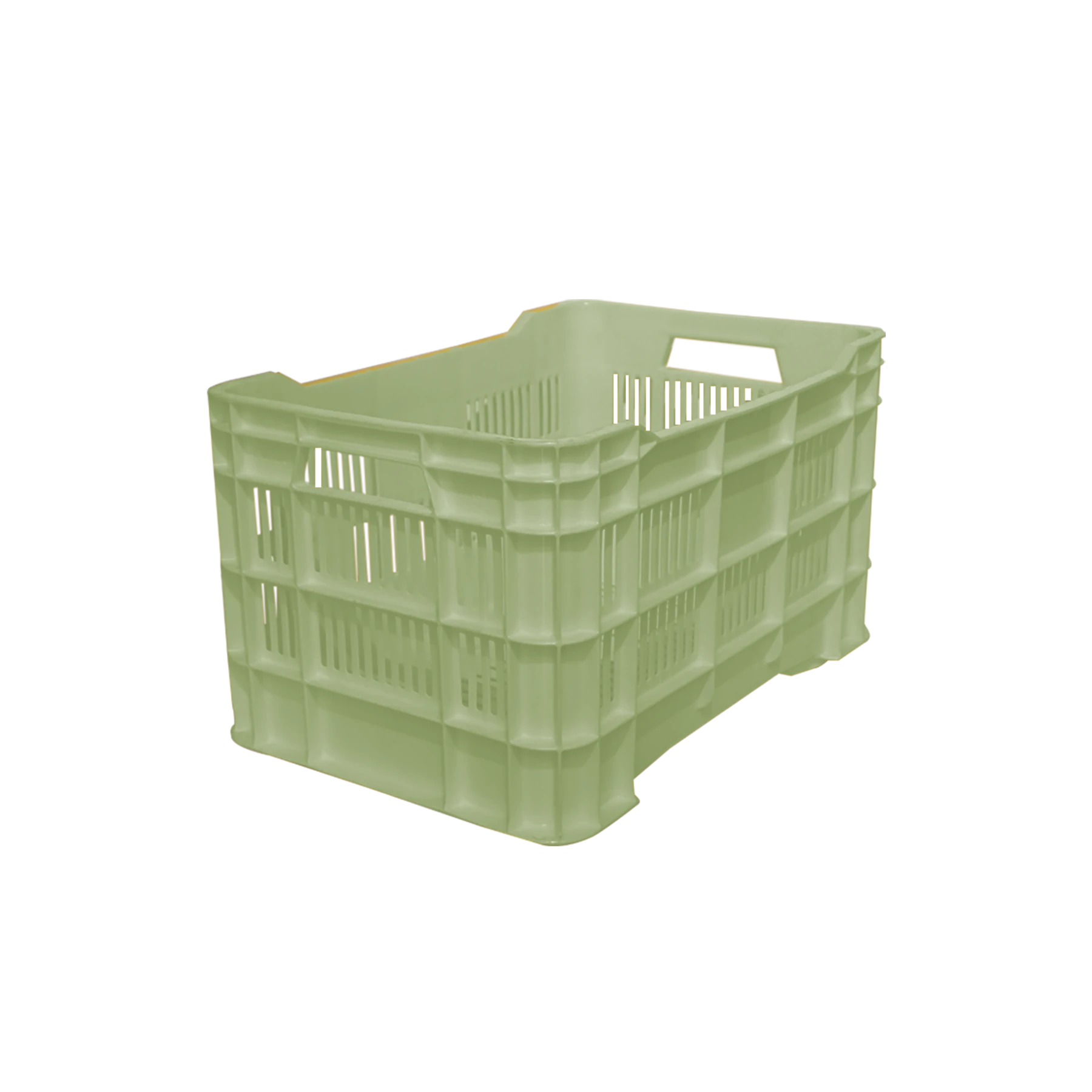 CAJA WALTERINO CALADA VERDE-E, EUROPLAST